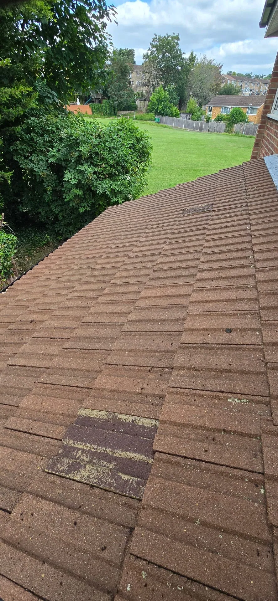 After Roof Cleaning