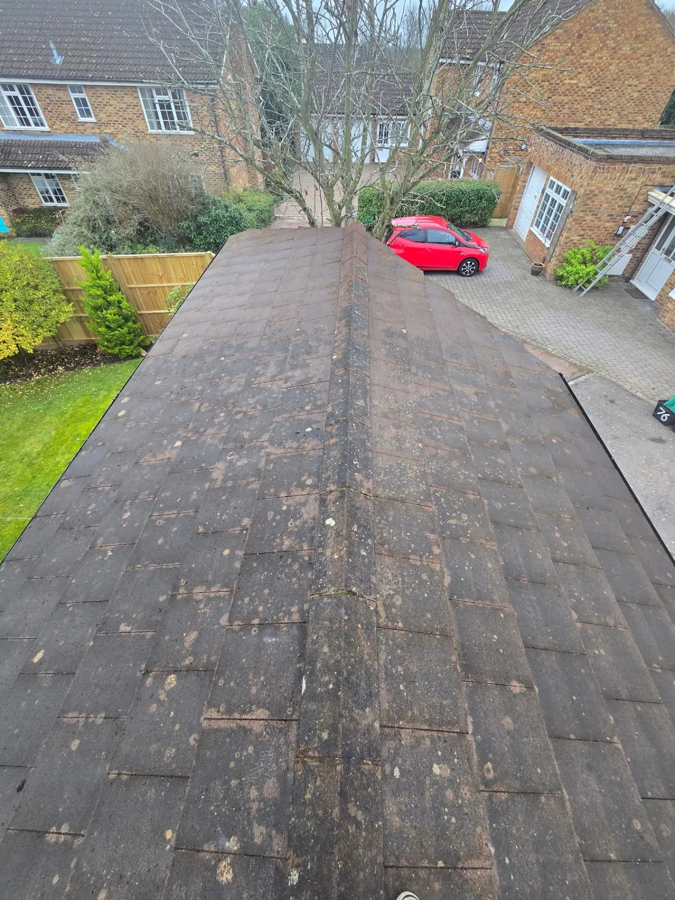 After Roof Moss Removal