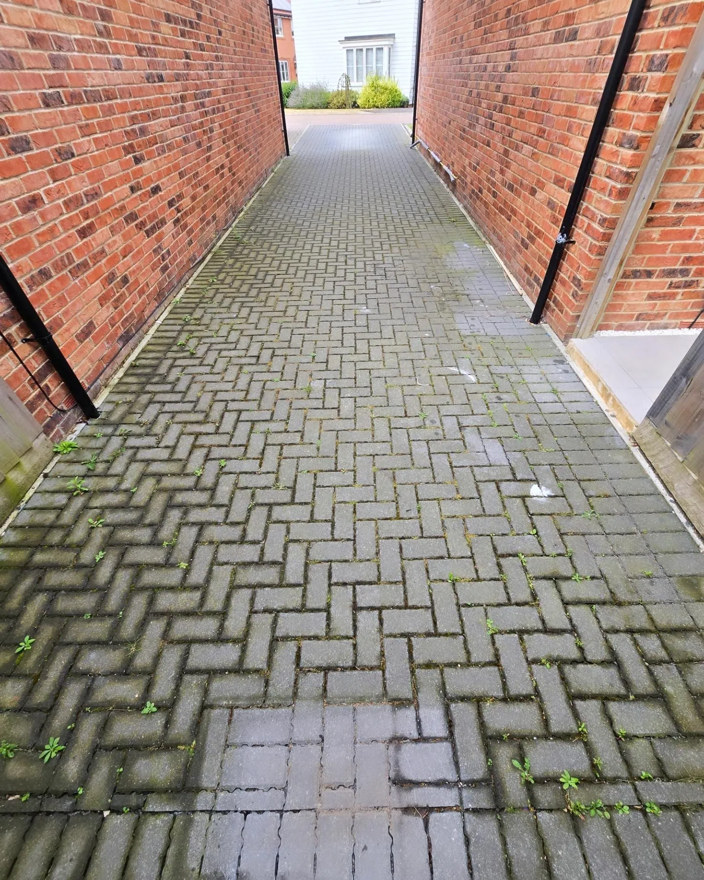 Before Alleyway Cleaning
