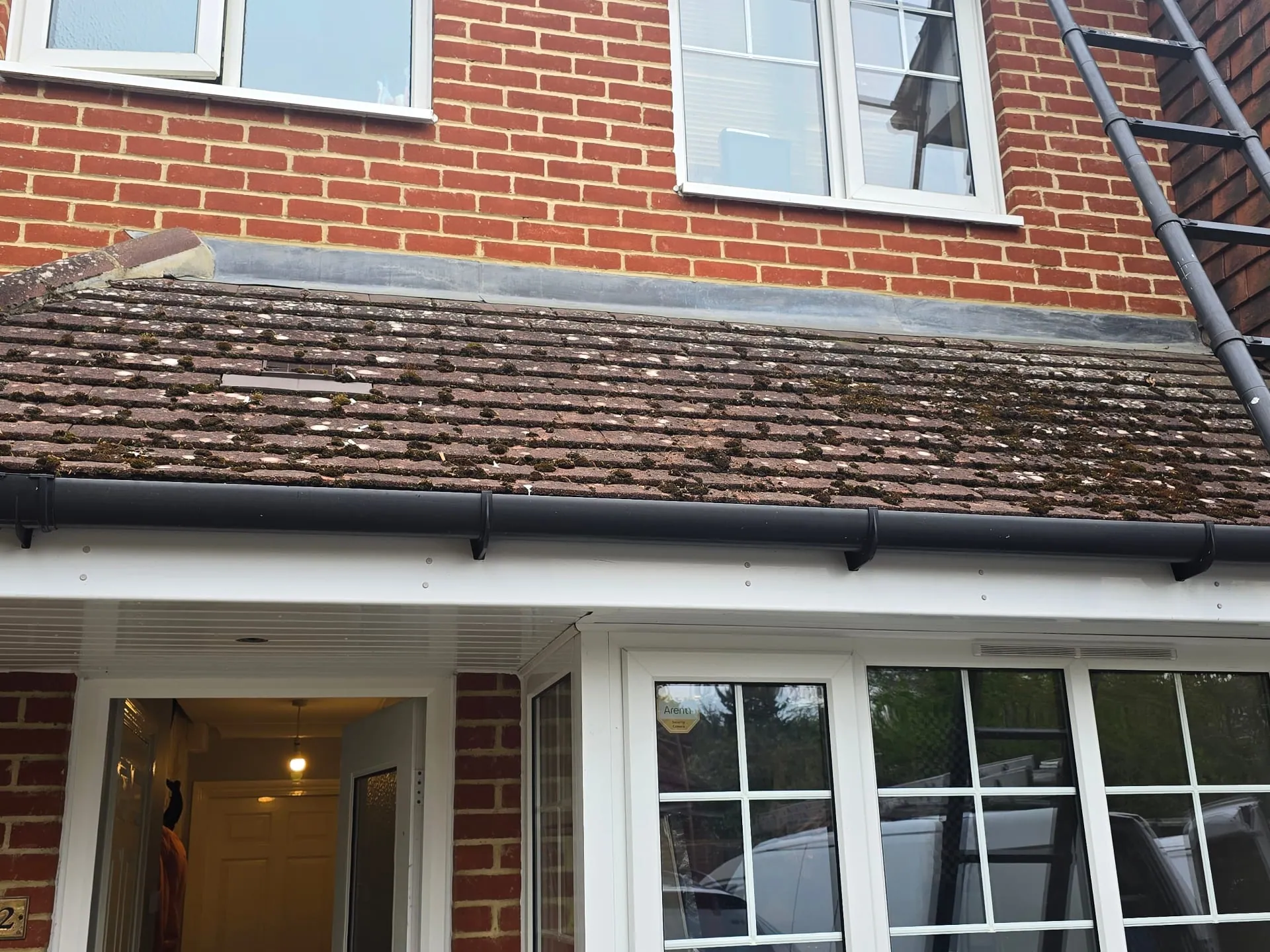 Before Bay Roof Cleaning