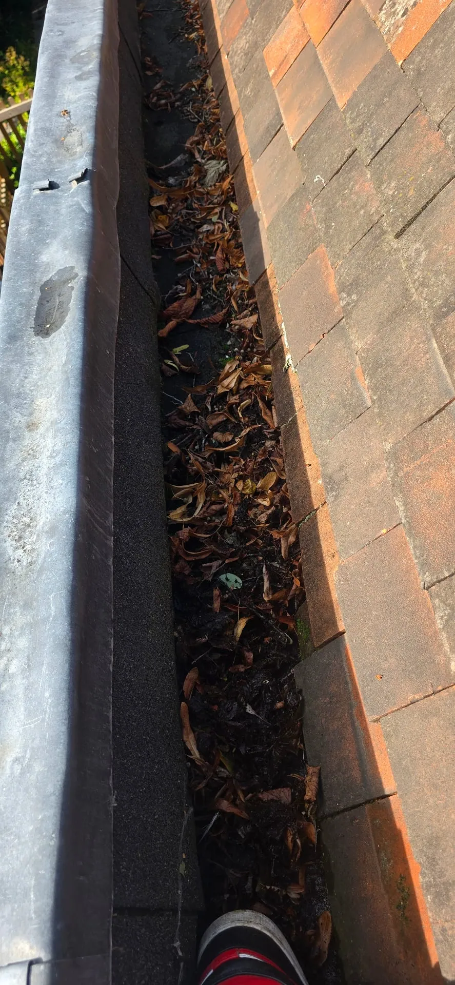 Before Gutter Clearing