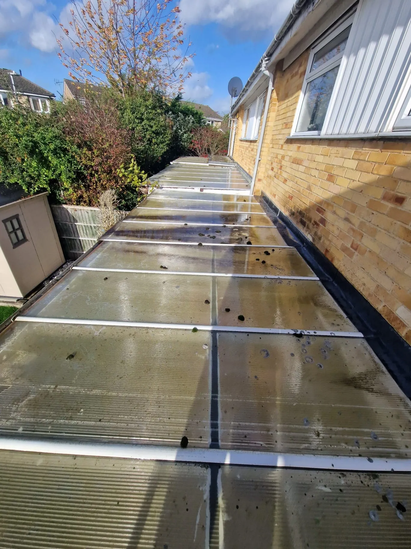 Before Lean-to Roof Cleaning