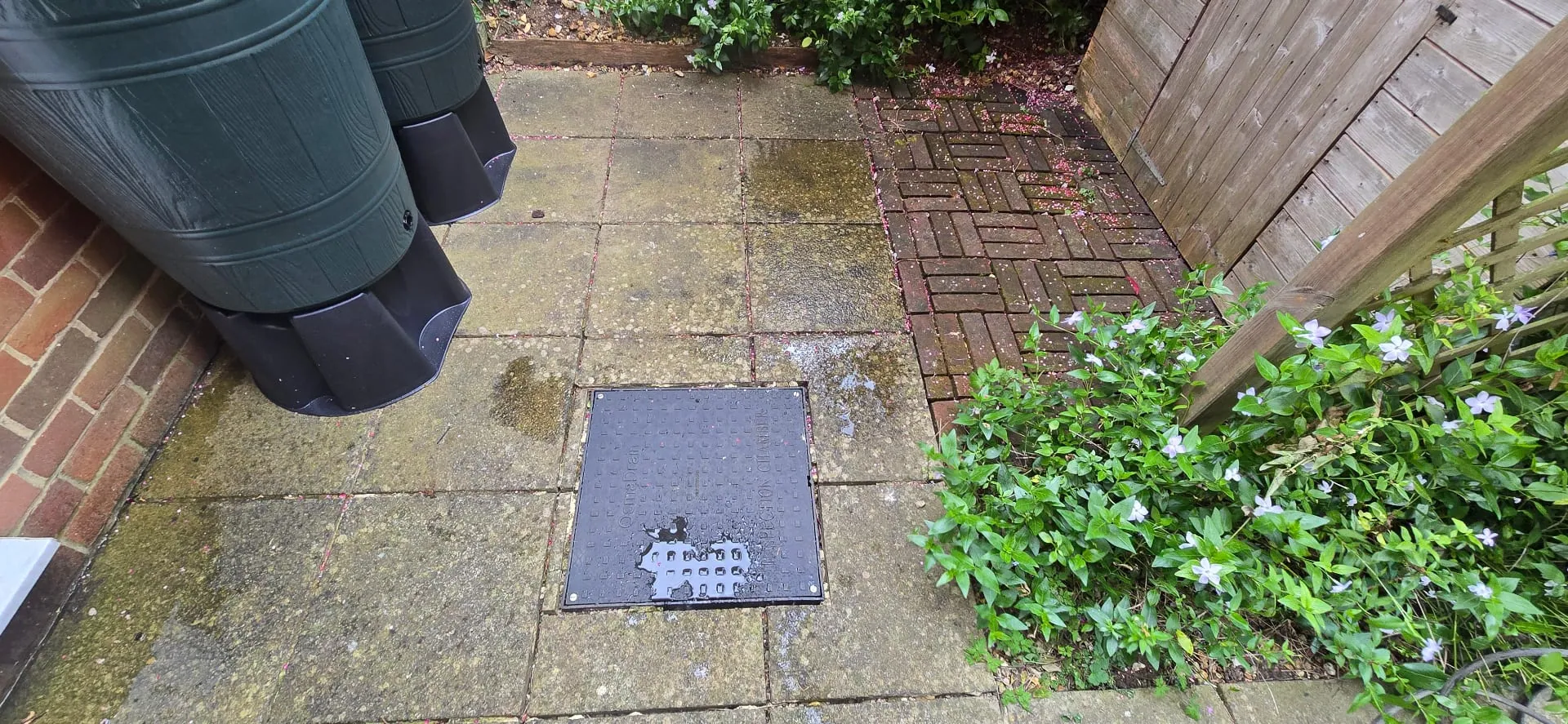 Before Pathway Cleaning