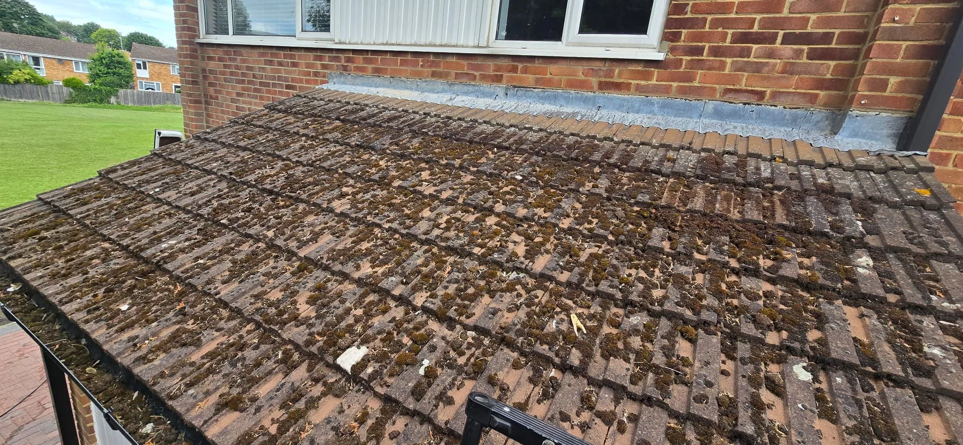 Before Roof Cleaning