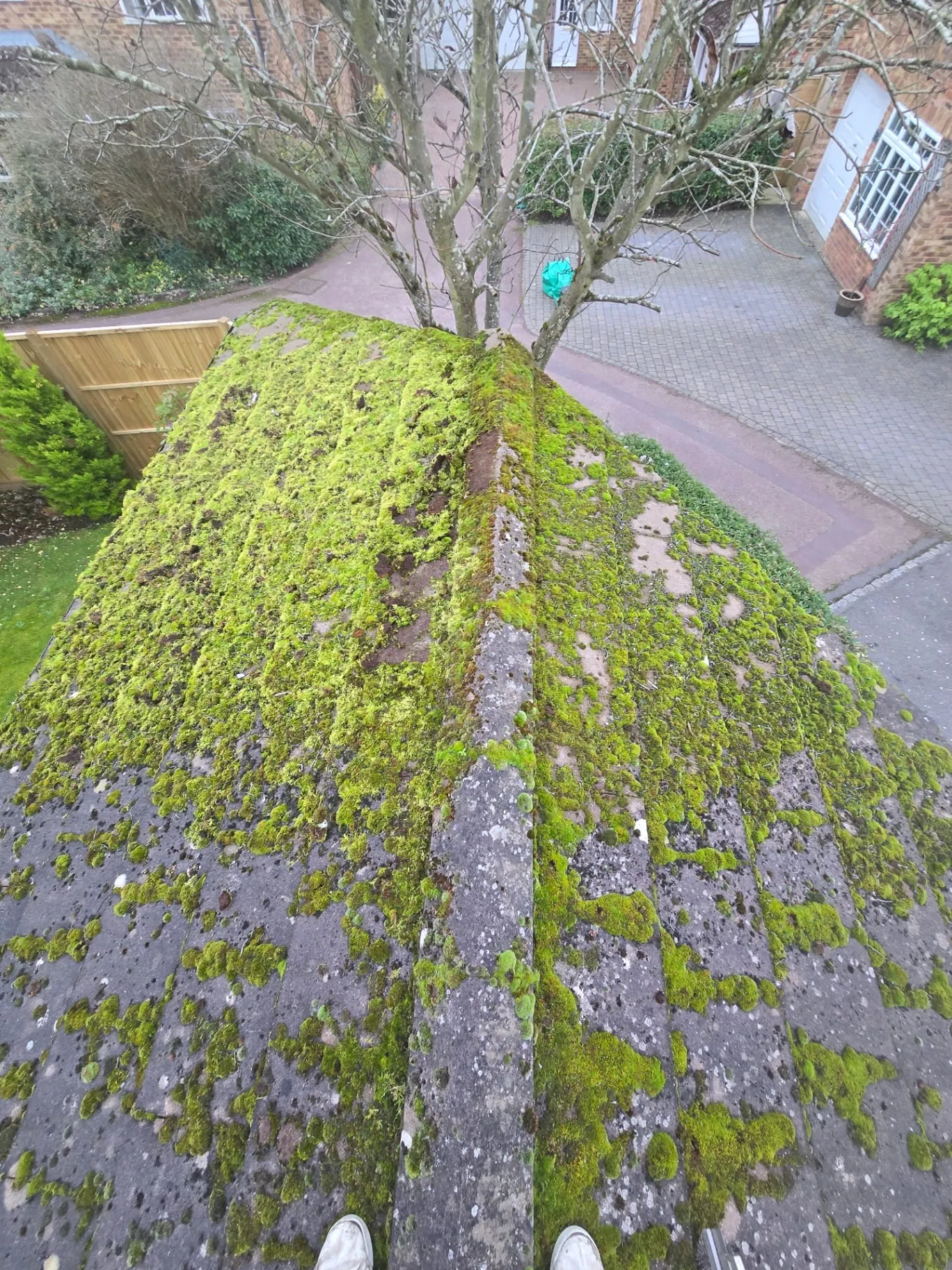 Before Roof Moss Removal