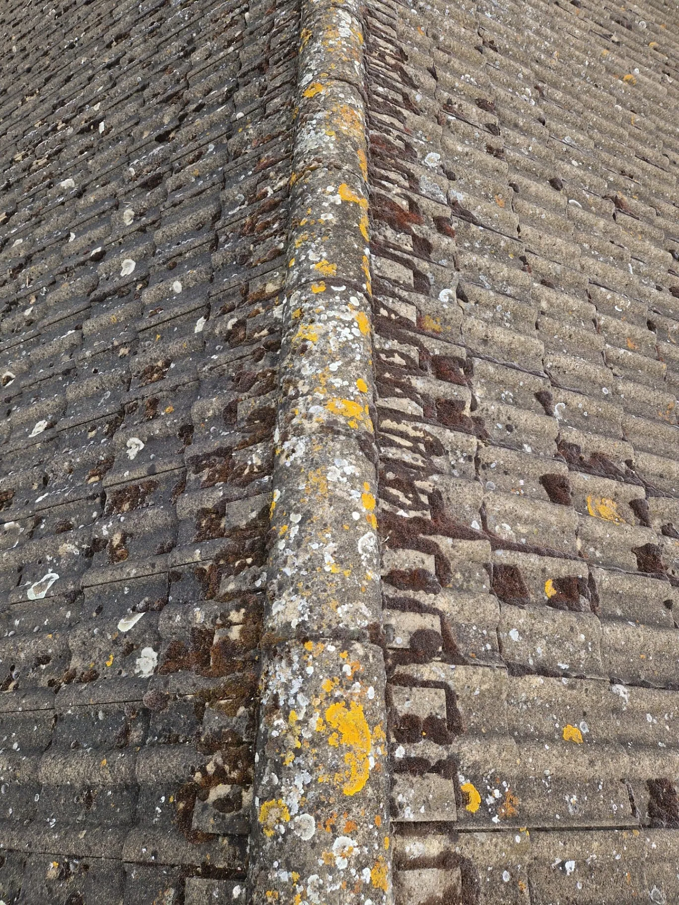 Before Roof Ridge Cleaning
