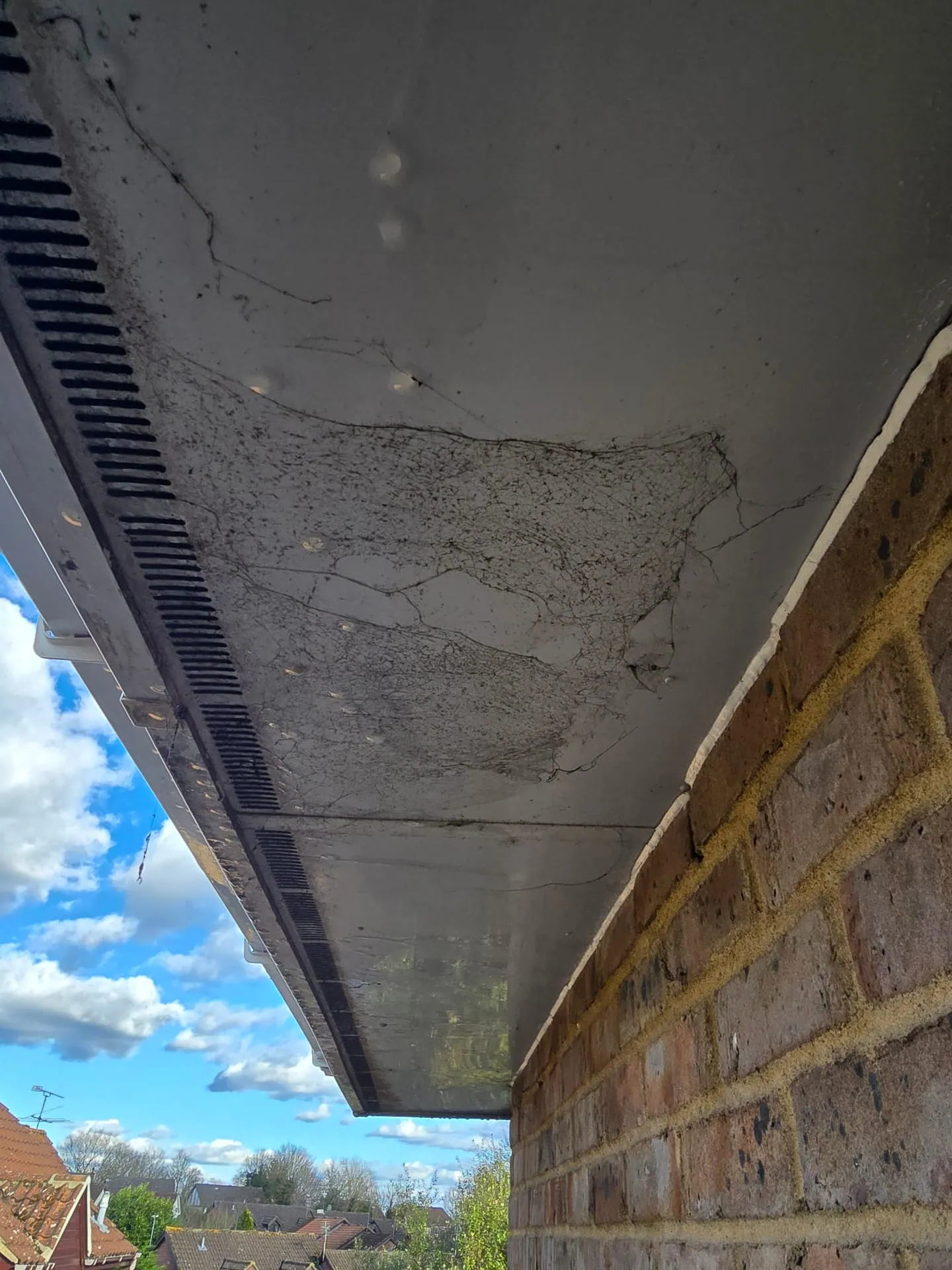 Before Soffit Cleaning